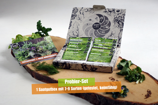 Saatgutbox "Wilde Kräuterküche"